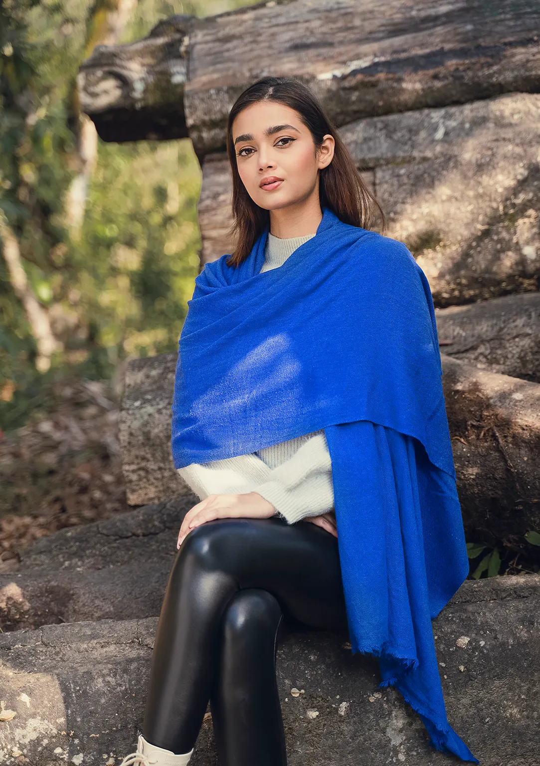 Royal  Blue Pure Pashmina Shawl