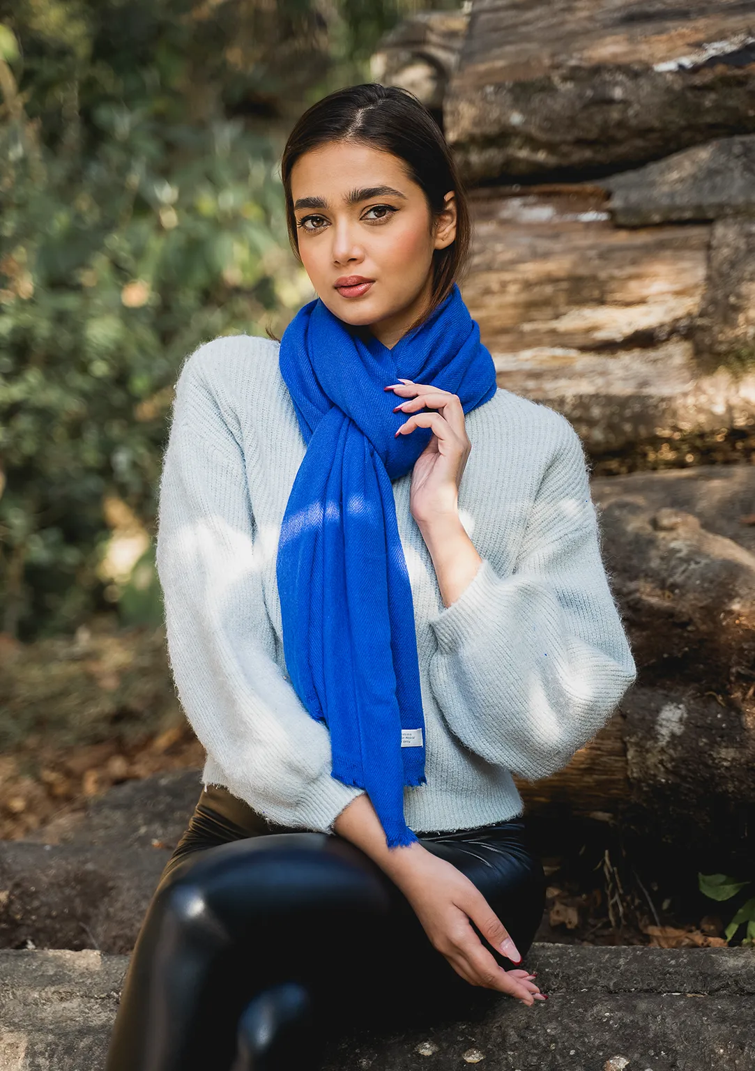 Royal  Blue Pure Pashmina Shawl